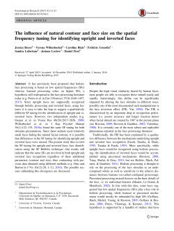 The influence of natural contour and face size on the spatial