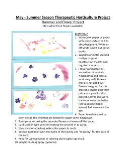 May - Summer Season Therapeutic Horticulture Project