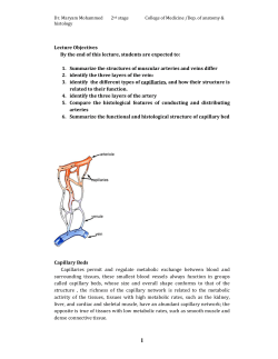 Lecture Objectives By the end of this lecture, students are expected to