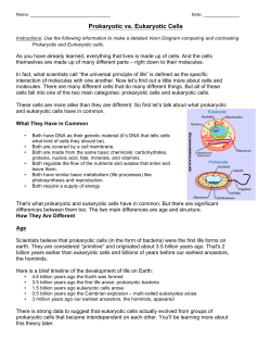 Prokaryotic vs. Eukaryotic Cells