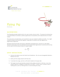 Flying Pig - Arbor Scientific