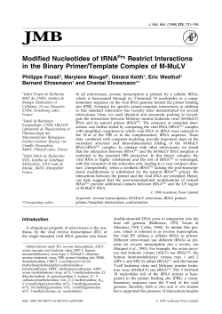 Modified Nucleotides of tRNAPro Restrict Interactions in the