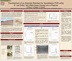 Development of an Absolute Standard for Quantitative PCR using