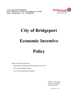 Economic Tax Incentive Packet