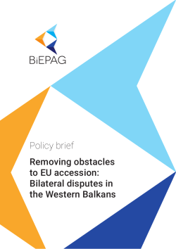 Policy brief - Bilateral Disputes study