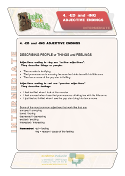 intermediate - Academia Evoluci&oacute;n