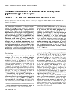 Mechanism of translation of the bicistronic mRNA encoding human