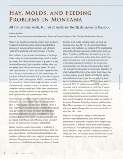Hay, Molds, and Feeding Problems in Montana