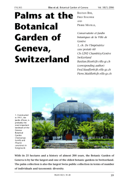 Palms at the Botanical Garden of Geneva
