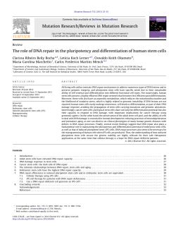 The role of DNA repair in the pluripotency and - Genoma