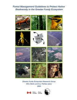 Forest Management Guidelines to Protect Native Biodiversity