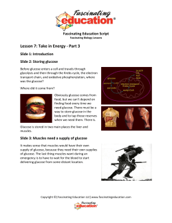 Lesson 7 - Take in Energy - Part 3