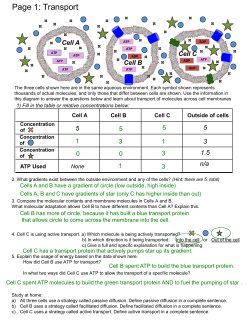 Page 1: Transport