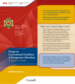 Drugs in Correctional Facilities: A Dangerous Situation A Visitor`s
