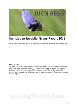 2013 report on the activities of the Bumblebee