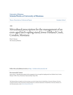 Silvicultural prescription for the management of an even
