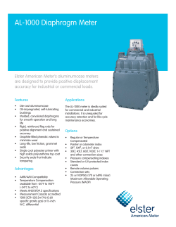 AL-1000 Diaphragm Meter