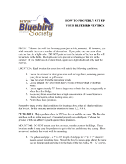 how to properly set up your bluebird nestbox