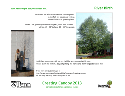 Creating Canopy 2013