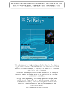 Author`s personal copy - Department of Pathology