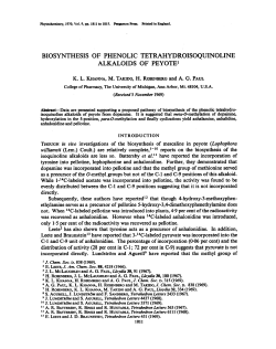 biosynthesis of phenolic tetrahydroisoquinoline