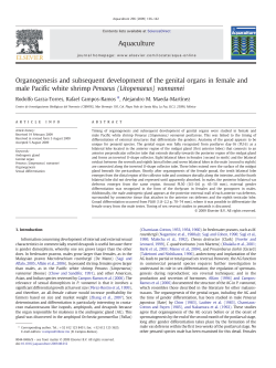 Organogenesis and subsequent development of the genital organs
