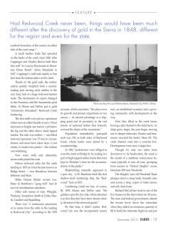 Had Redwood Creek never been, things would have been much