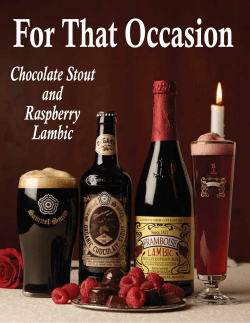 Chocolate Stout and Raspberry Lambic