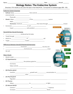 Biology Notes: The Endocrine System