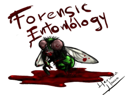 An Introduction to Forensic Entomology