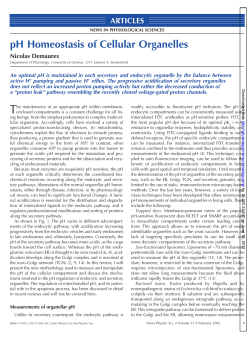 pH Homeostasis of Cellular Organelles