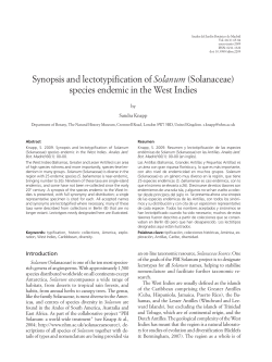 Synopsis and lectotypification of Solanum