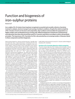 Function and biogenesis of iron-sulphur proteins.