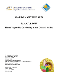 Prepared by Pam Geisel