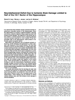Neurobehavioral Deficit Due to lschemic Brain Damage Limited to