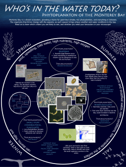 Monterey Bay Phytoplankton Poster