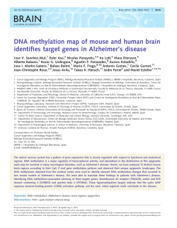 DNA methylation map of mouse and human brain identifies target