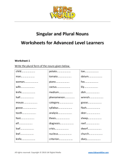 Singular and Plural Nouns Worksheets for Advanced