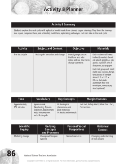 Activity 8 Planner - National Science Teachers Association
