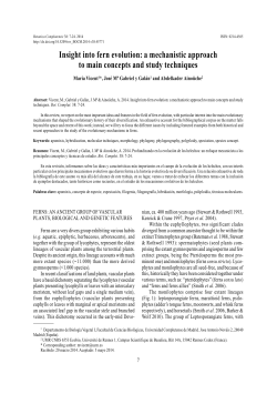 Insight into fern evolution: a mechanistic approach to main concepts
