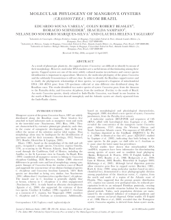 molecular phylogeny of mangrove oysters