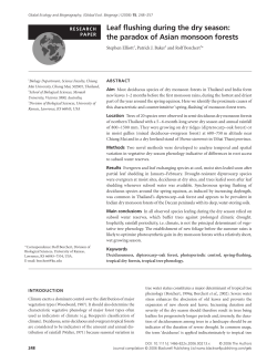 Leaf flushing during the dry season: the paradox of Asian monsoon