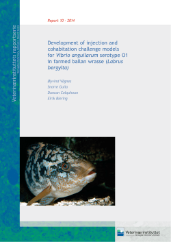 Development of injection and cohabitation challenge models for