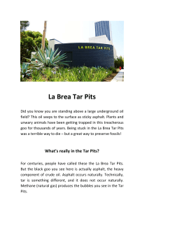 La Brea Tar Pits and Museum