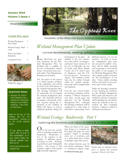 January - White Oak Bayou