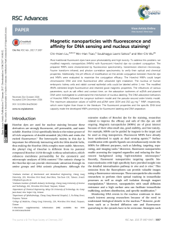 Magnetic nanoparticles with fluorescence and affinity for DNA