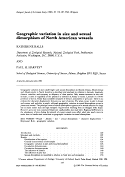Geographic variation in size and sexual