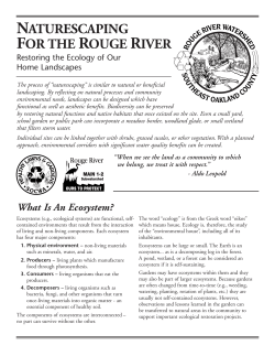 Naturescaping for the Rouge River