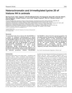 Heterochromatin and tri-methylated lysine 20 of histone H4 in animals