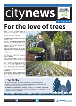 Tree facts - Hamilton City Council